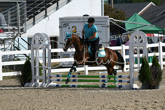 HSM_1550