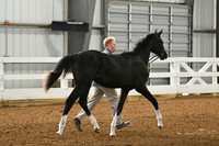 HSM_3626