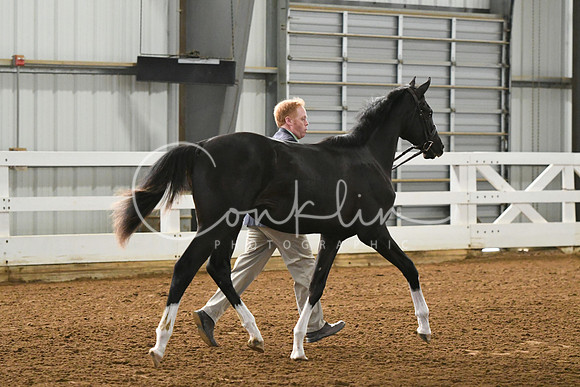 HSM_3626