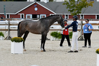 HSM_5373