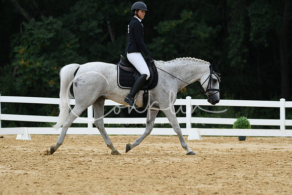 HSM_0334