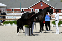 HSM_5198