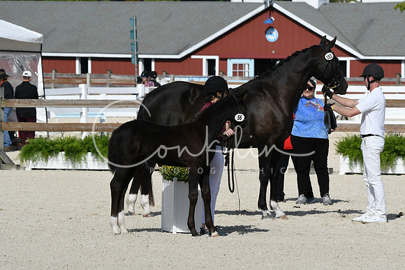 HSM_5198