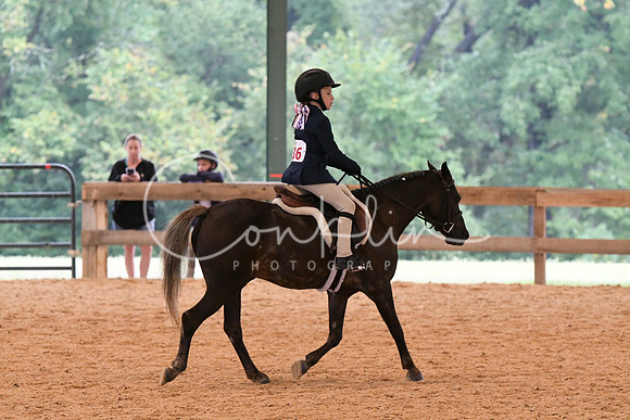 HSM_4266