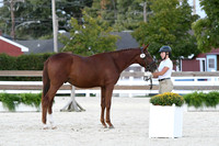 HSM_5728