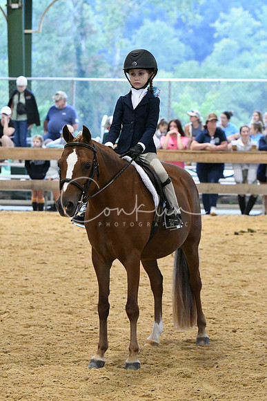 HSM_4166
