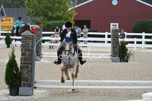 HSM_0947