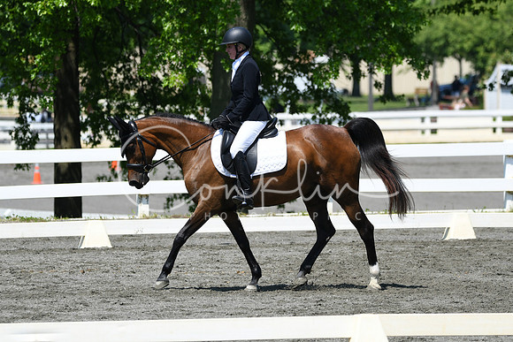 HSM_1404