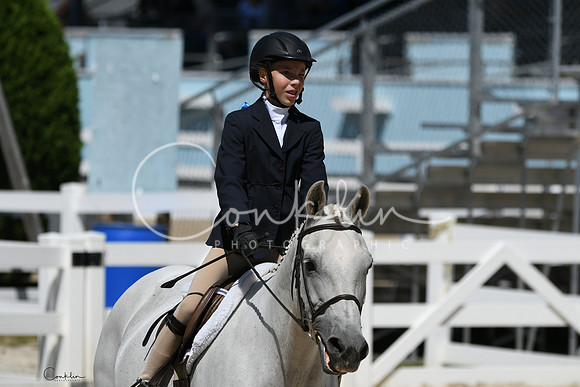 HSM_3173-1