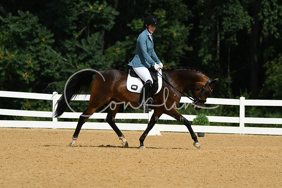 HSM_1146