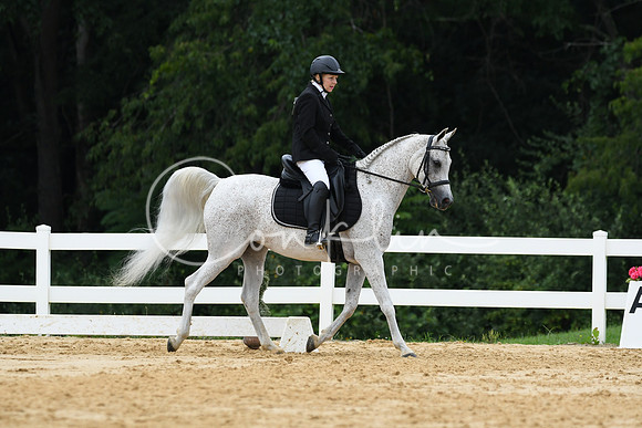HSM_0282