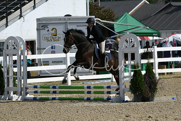 HSM_1784