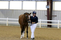 46 Lady Aderyn