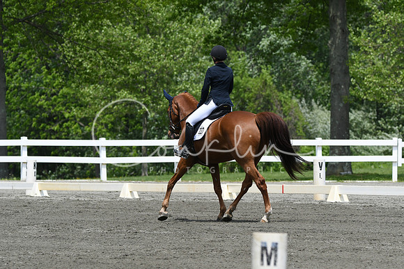 HSM_0265