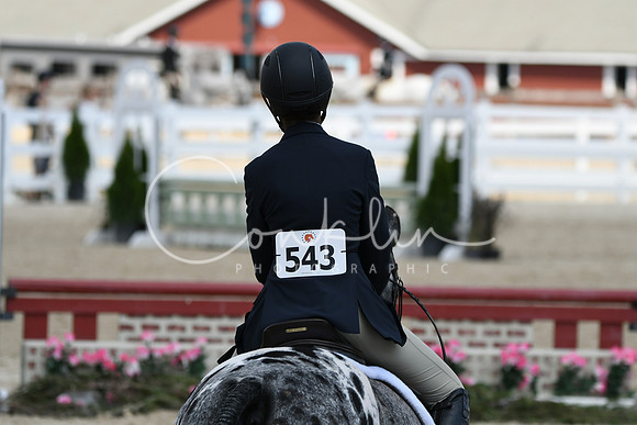 HSM_8942