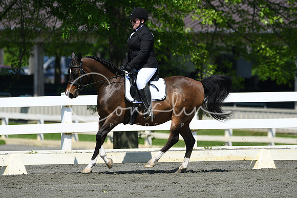 HSM_1285