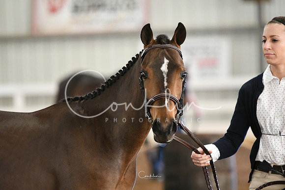 HSM_3772-1