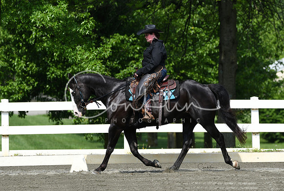 HSM_2661-1