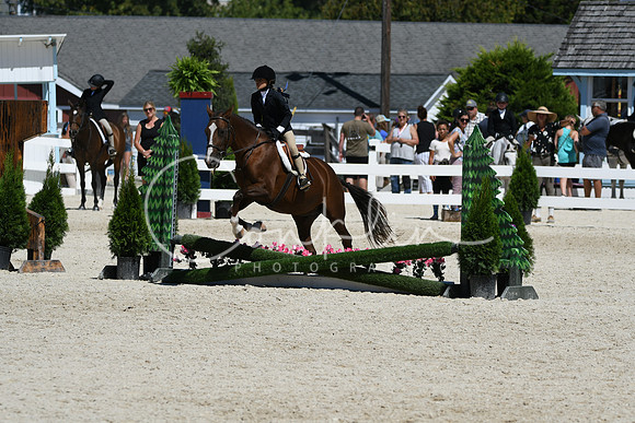 HSM_3273