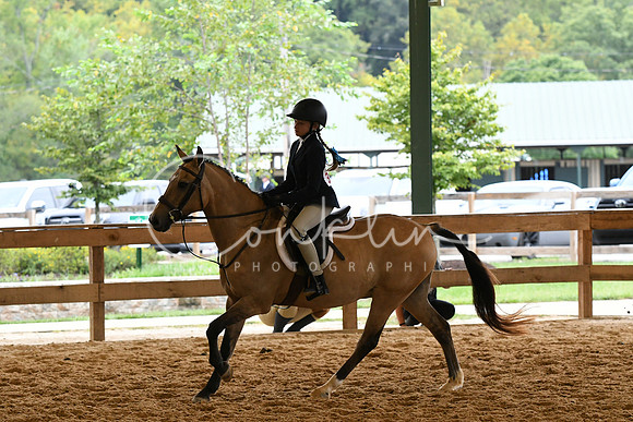 HSM_7029