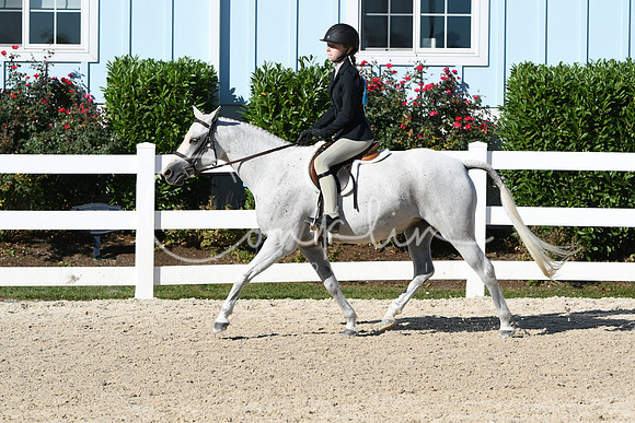 HSM_2271