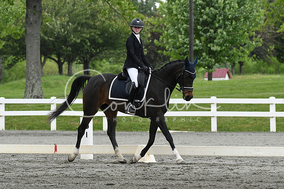 HSM_0663