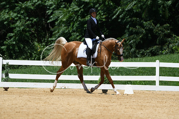HSM_1401
