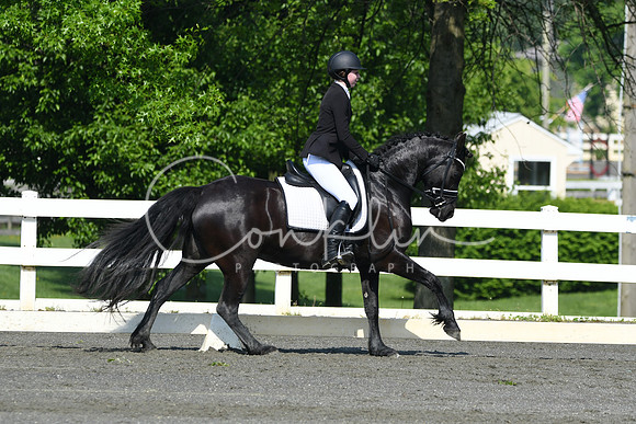HSM_1091