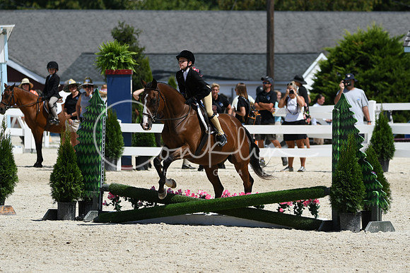 HSM_2983