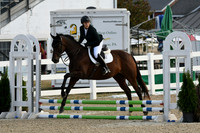 HSM_1038