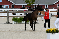 HSM_5014