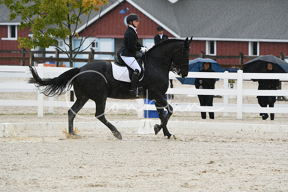 HSM_0431
