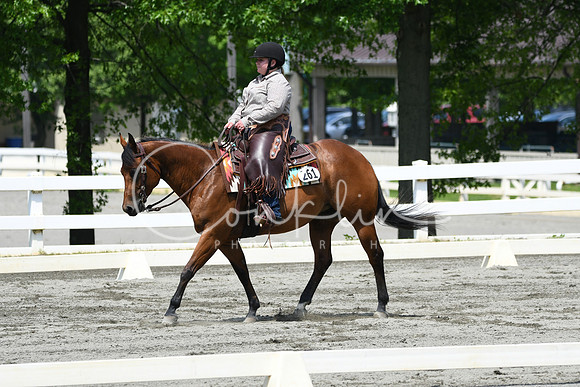 HSM_2929
