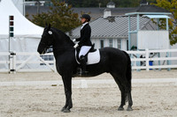 HSM_0407