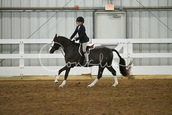 HSM_5241