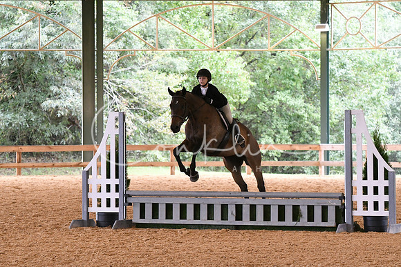HSM_1293