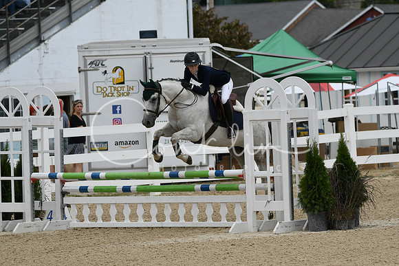 HSM_2949