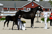 HSM_5195
