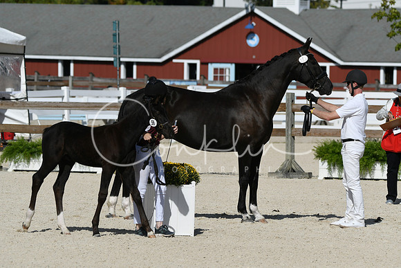 HSM_5195