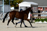 HSM_5342