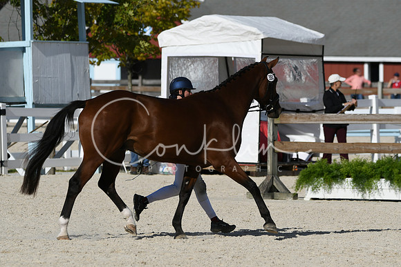 HSM_5342