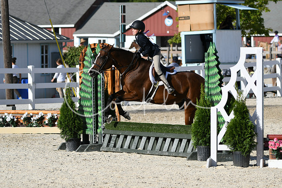 HSM_4272