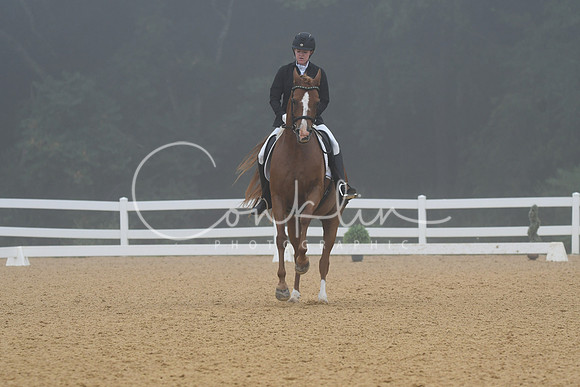 HSM_0729