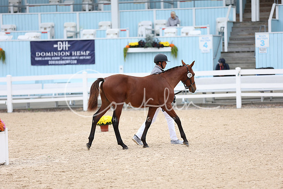 JRM_8001