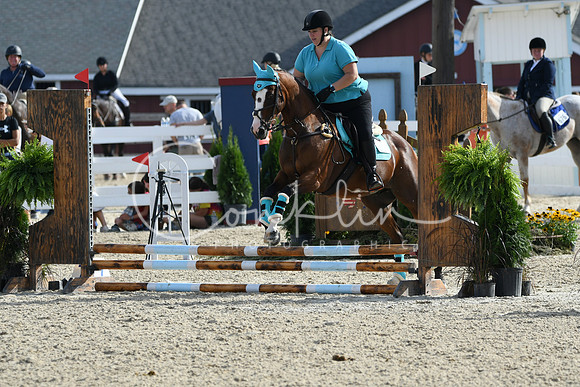 HSM_1541