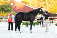 HSM_5678