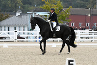 HSM_9617