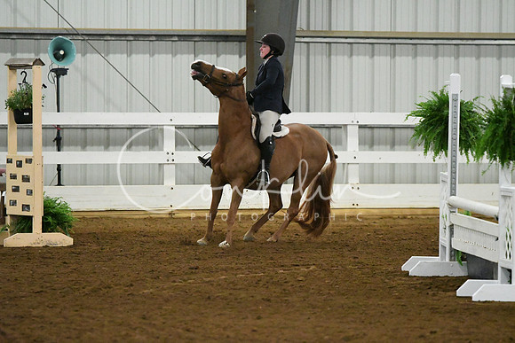 HSM_6054
