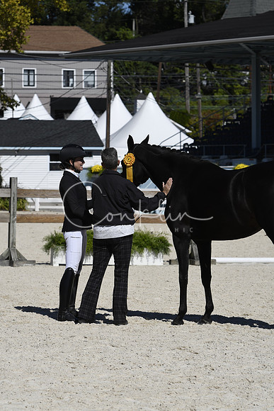_TJP7651