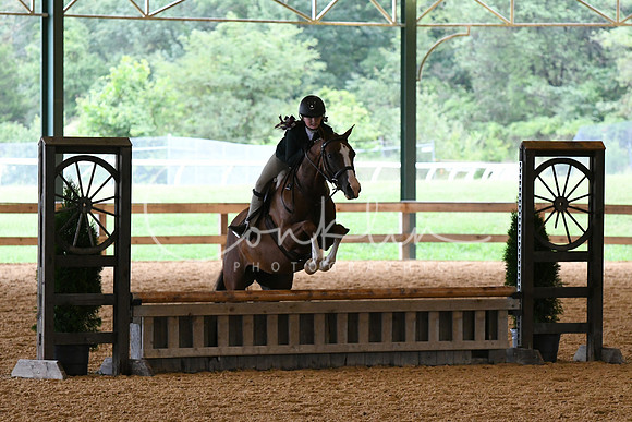 HSM_1831